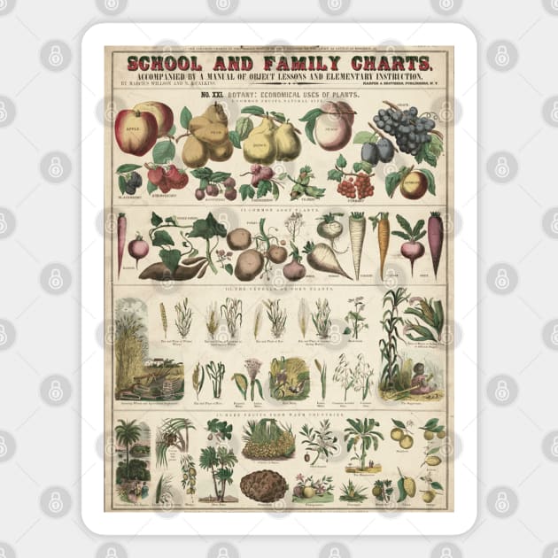 Healthy food habits agriculture educational vintage chart poster Magnet by SpaceWiz95